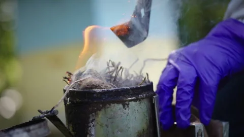Beekeeper Preps Smoke Stock Footage 255064236