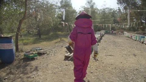 A beekeeper in a protective suit from bees walks through a bee with hives Stock Footage 310958232