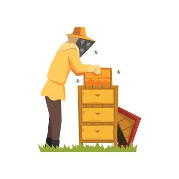 Beekeeper in a protective suit working on apiary, honey production process Ilustração Stock