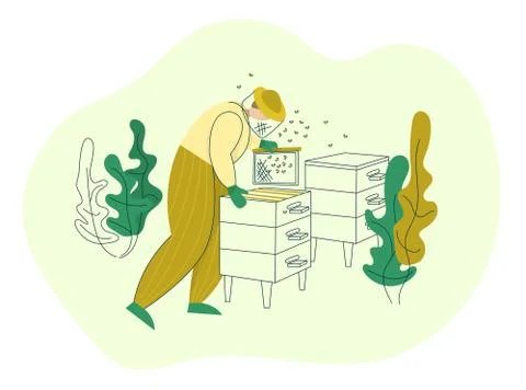 Beekeeper in a protective suit working on apiary with hive frames. Honey orga Stock Illustration