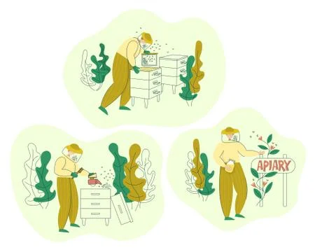Beekeeper in a protective suit working on apiary. Honey organic business Stock Illustration