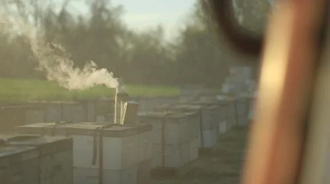 Beekeeper in protective workwear examining beehive Stock Footage 50168973