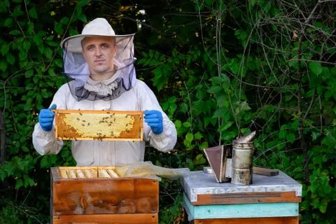 Beekeeper in protective workwear inspecting frame at apiary. The beekeeper holds Stock Photos
