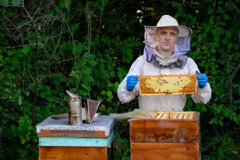 Beekeeper in protective workwear inspecting frame at apiary. The beekeeper ho Stock Photos