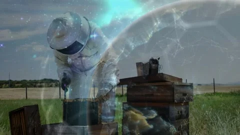 Beekeeper prying and checking hive frame as celestial overlay emerging from Stock Footage 334311555
