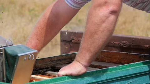 Beekeeper Pulls Out a Frame with Honey Stock Footage 134943556