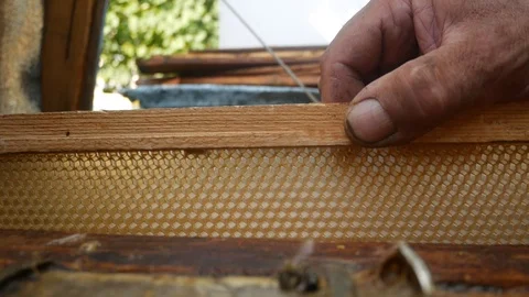 The beekeeper puts into the hive a frame of fresh wax.  Wax on which bees will Stock Footage 112948419
