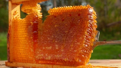 Beekeeper puts honey in honeycombs on a board Stock Footage 114079643