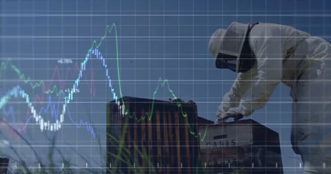 Beekeeper reaching with hive tool and prying lid, checking hive health while Video stock 331046095