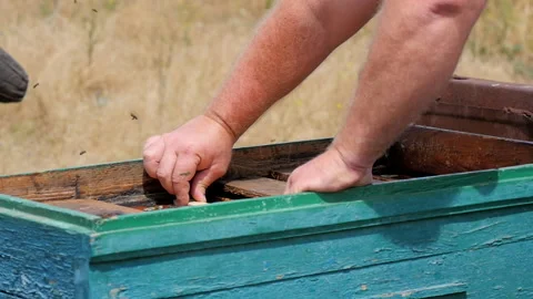 The Beekeeper Rearranges the Frames in the Hive Stock Footage 134966343