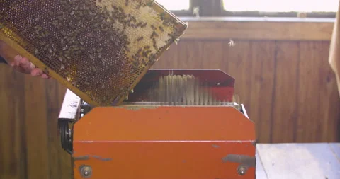 Beekeeper remove honey bees from honeycomb with machine, close up slow motion sh Stock Footage 132489370