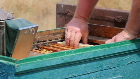Beekeeper Removes Empty Honey Frame Video stock 134943164