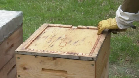 The beekeeper removes the top cover from the bee hive, the smoke creeps into. Video stock 130530859