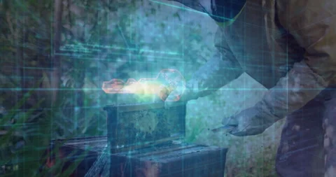 Beekeeper removing hive cover and inspecting comb frame, showing tech circuits Stock Footage 313677891