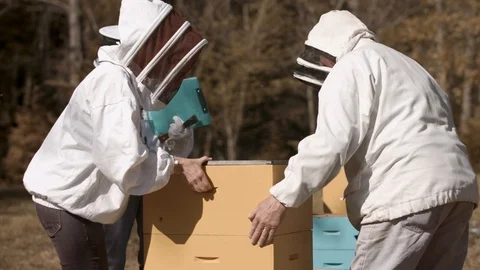 Beekeeper Scientist Stock Footage 91042702