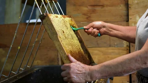 Beekeeper Scraping Wax Cappings from Honeycomb Frame for Honey Extraction Stock Footage 343885840