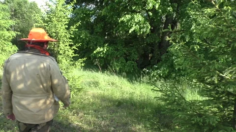 Beekeeper in the search of the bee trap in the forest Video stock 51172096