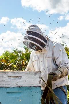 Beekeeper securing bee box with strap Stock Photos