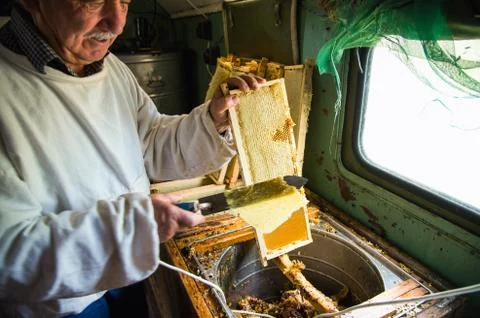 The beekeeper separates the wax from the honeycomb frame. Stock Photos