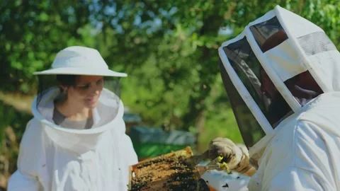 Beekeeper showing a honeycomb to his assistant Stock Footage 220111639