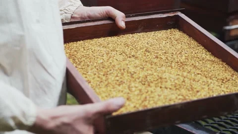 Beekeeper shows a beehive drawer board filled with bee pollen. Organic natural 動画素材 136136334