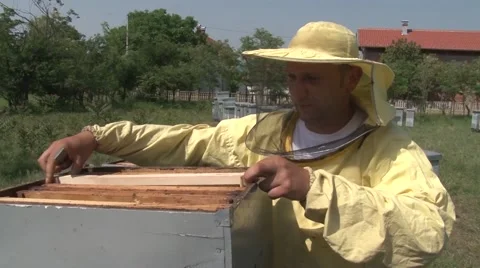 Beekeeper shows the frame with bees Stock Footage 56525403