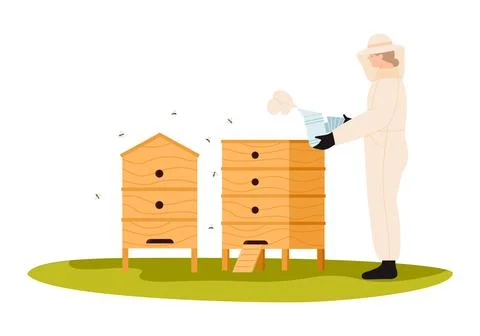 This is a Beekeeper skillfully managing hives using smoke to calm the bees Ilustración de archivo