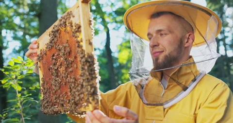 A beekeeper smiling, protected by a protective suit with a mosquito net on his Stock-Footage 165008902
