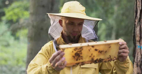 A beekeeper smiling, protected by a protective suit with a mosquito net on his Видео 165029818