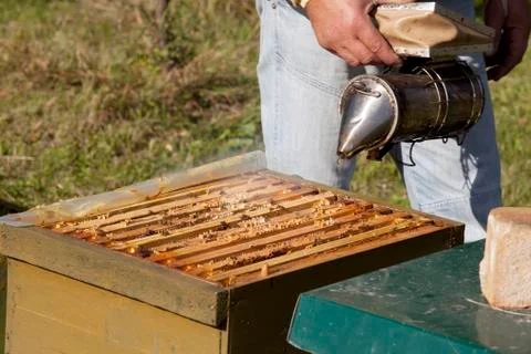 Beekeeper with smoker Stock Photos