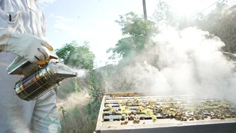 Beekeeper smoking beehive Stock-Footage 279114507