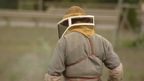 Beekeeper Smoking Hive Boxes Stock Footage 93874561