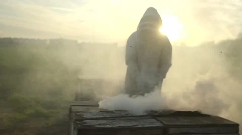 Beekeeper spraying smoke on beehive Stock Footage 50168464