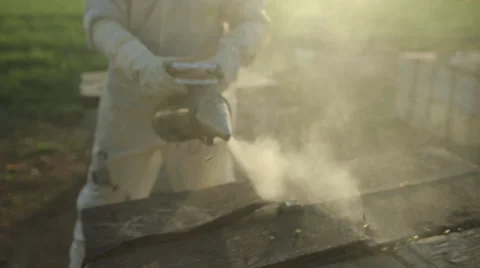 Beekeeper spraying smoke on beehive Stock Footage 50170353