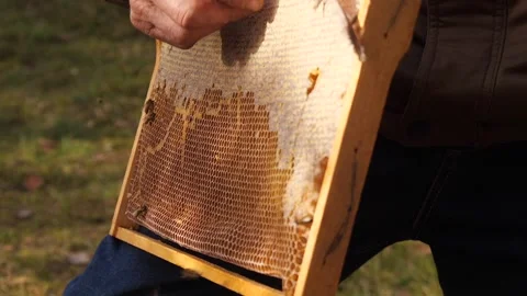 A beekeeper sweeps bees from the honeycombs with a feather. Stock Footage 318416241