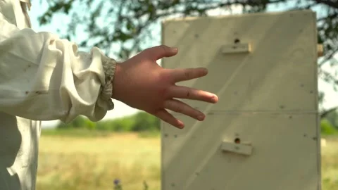 A beekeeper with a swollen palm due to a bee sting. A young man in the field Stock Footage 202615529