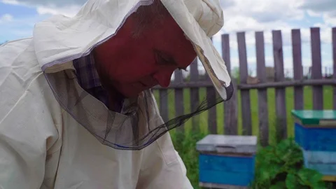 The beekeeper takes out a frame with uterus, bees. Works in the apiary. The Stock Footage 114130457