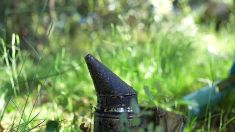 Beekeeper tool for calming bees in an apiary Video stock 336744716