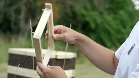 Beekeeper Turning Empty Wooden Hive Frame by Beehive, Sunlit Apiary, Close Up Vídeos de archivo 341296330