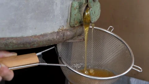 Beekeeper turns the handle of the honey extractor and a stream of honey flows Stock Footage 137759444