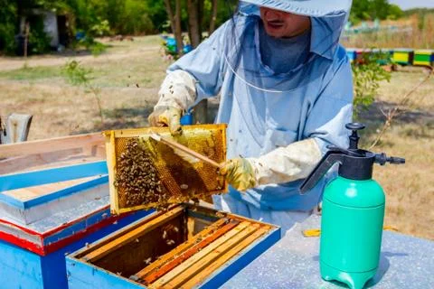 Beekeeper is using bristle to get rid of bees Stock Photos