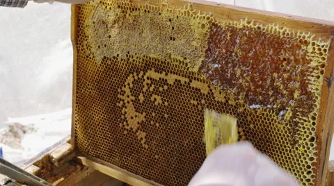 A beekeeper using a knife to cut the wax from the frame close up Stock-Footage 68656864