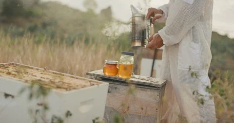 Beekeeper using smoke to calm honey bees Stock Footage 120225287