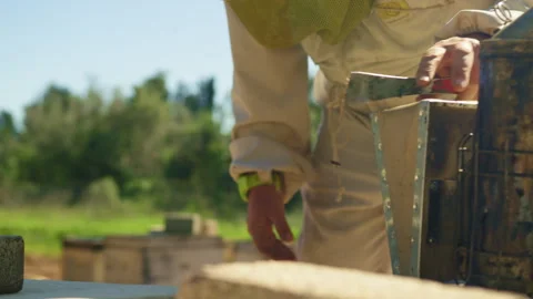 Beekeeper using a smoker and inspecting the hive Stock Footage 274665514
