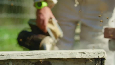 Beekeeper using a smoker on bees in a panel Stock Footage 274663443