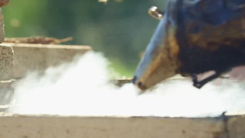 Beekeeper using a smoker on a colony of bees Stock Footage 274666243