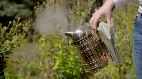 A beekeeper using a smoker. Stock Footage 58882325
