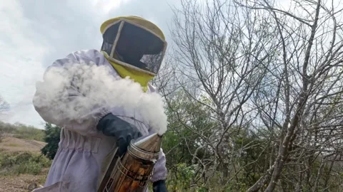 Beekeeper Using Smoker in Protective Suit in Dry Rural Landscape Stock Footage 341870588