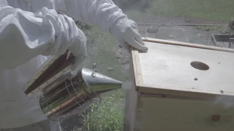 Beekeeper using smoker on top shelf of beehive Stock Footage 134209326