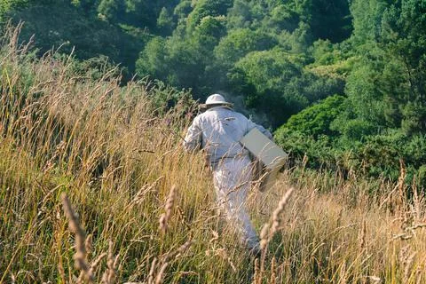 Beekeeper walking in the field with his work equipment. Copy space. Stock Photos